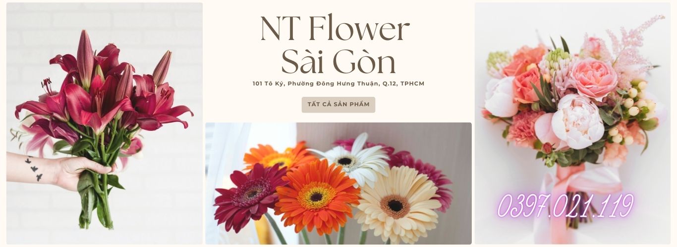 SHOP HOA TƯƠI QUẬN TÂN BÌNH