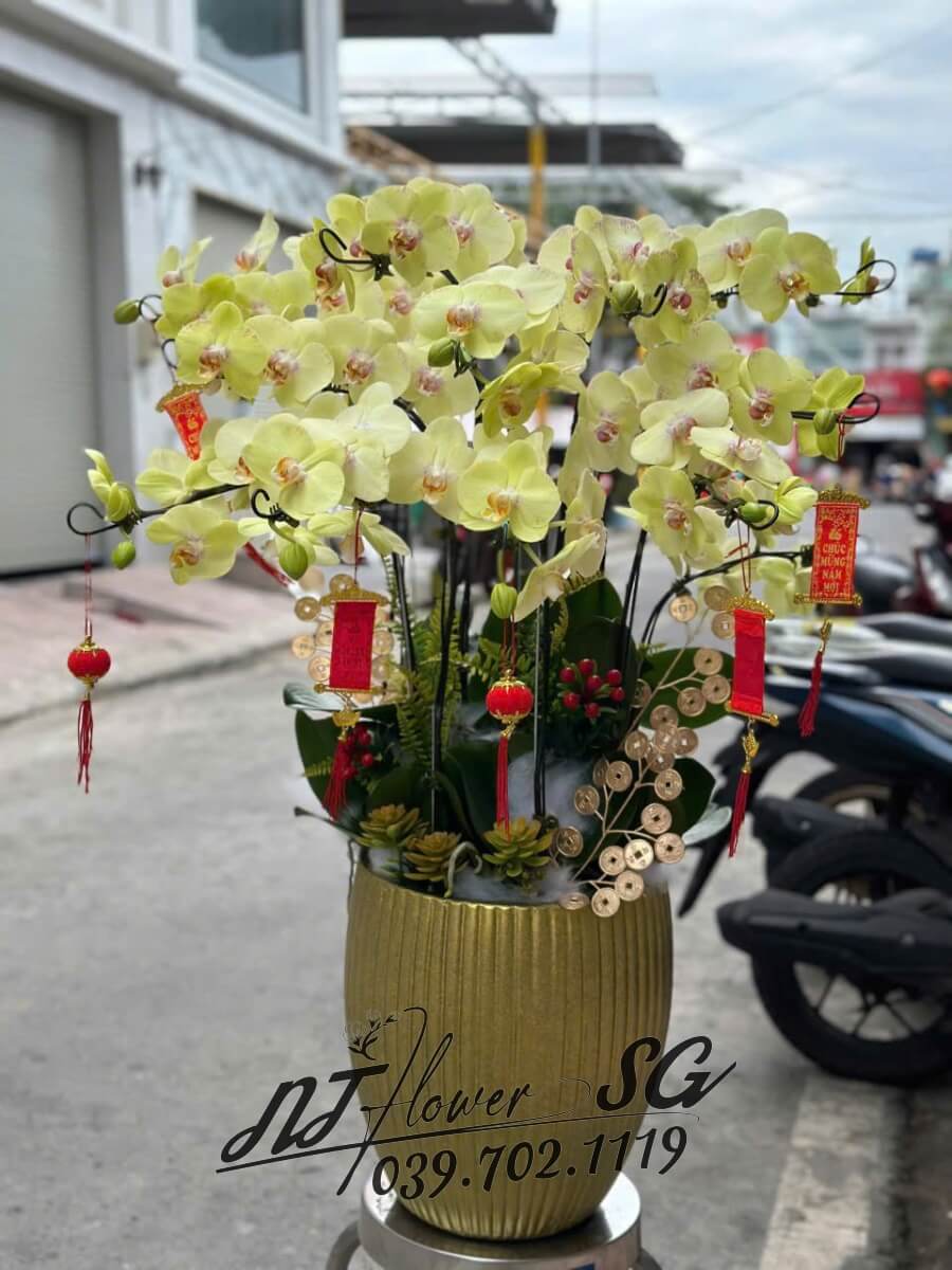 Lan Hồ Điệp 012